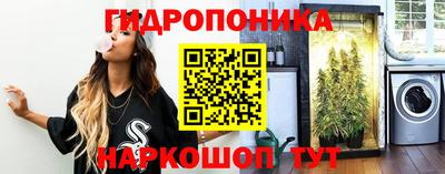 индика Будённовск