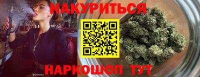 индика Будённовск