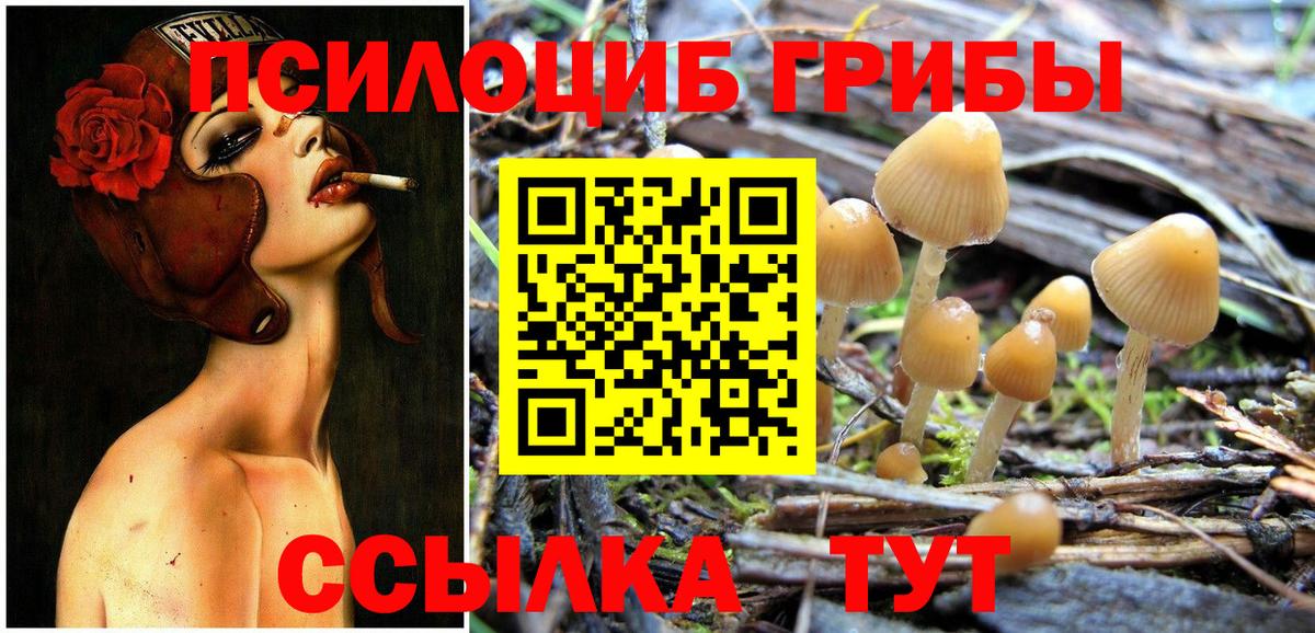 Псилоцибиновые грибы MAGIC MUSHROOMS  Вход с VPN  Буйнакск  Галлюциногенные грибы мицелий 